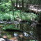 Trap Pond Bike Trail