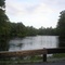 Raccoon Pond