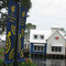 Baytowne Wharf