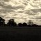 Plainfield Illinois Famers Field