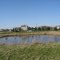 Pond at the park