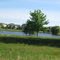 Tall Grass