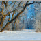 Frost and the Sun (www.blackred.spb.ru)
