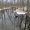 A brook in winter, but its name is Spring Brook