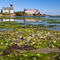 Little Egg Harbor Fish Factory