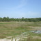 Gone-Away Lake, near Ridge Manor FL