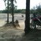 Sand Hill day use area @ Croom Motorcycle Area 2010-04-10