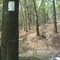 A nice long technical dirt bike trail @ Croom Motorcycle Area 2010-04-10