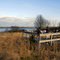 Spying On The Wildlife at Edwin B. Forsyth Wildlife Preserve. NJ