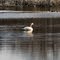 Enjoying The Solitude of Early Spring