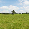 Aderhold Field - North View