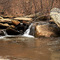Tanyard Branch