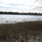 Near Pennsbury Manor on Delaware River