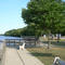 Clark T. Carey Memorial Park