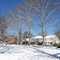 Davis Park - Winter season