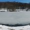 Tibbetts Brook Park, Yonkers, New York