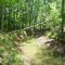 Beautiful walk along the penstock