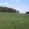 Field in Spring in Georgia