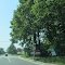 Red Light Camera