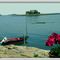 Branford