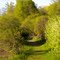 Finally: Spring is here