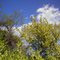 Finally: Spring is here