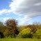 Finally: Spring is here!:
