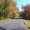 Branford Supply Fall(5)