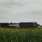 Indiana Cornfield