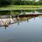Nasby "v" Dam on Pigeon River in Lagrange County, Indiana