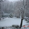 backyard snow scene