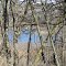 Dark Lake behind woods, but not dark