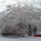 Ice storm