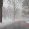 Rainny day, foggy day, snowy day and Monday!