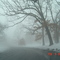 Road to Washington Park, snowy and foggy.