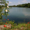 Kühwörther Wasser