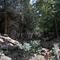 The lower chasm--Purgatory Chasm