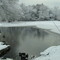 Mullica River Headwaters