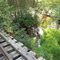 Jersey Central Lines RR Bridge over Albertson Brook