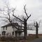 Fleming Pike