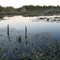 Goshen Pond