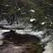Quinapoxet River in Winter