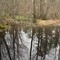 Swamp Overflow in Winslow WMA