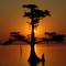 Sunrise at Lake End Park, Morgan City, LA
