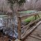 Bayou L'Ourse Nature Walk - Bayou L'Ourse, LA