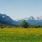 Rota Romântica - Alemanha/ Austria