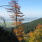 Blick auf den Foggensee