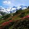 Seebertal mit Hochfirst (3405mt.)und Granatkogel (3304 mt.)