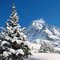 The Schrankogel 3497m just South of Gries Sulztal in winterscene and a Christmas tree