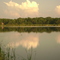 Buck Pond at sunset